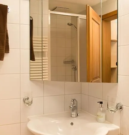 Mom - Alpine Boutique Apartments, Chalet Fagus, Terrace Studio Apartment