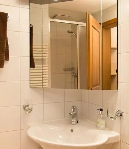 Mom - Alpine Boutique Apartments, Chalet Fagus, Terrace Studio Apartment