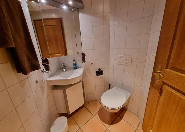 Mom - Alpine Boutique Apartments, Fagus, Terrace アパート グリンデルヴァルト